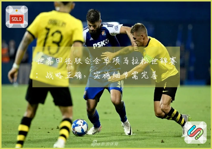 世界田径联合会单项马拉松世锦赛：战略正确，实施细节需完善