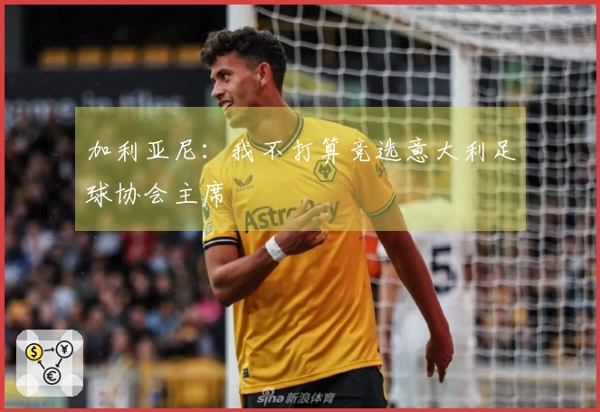 加利亚尼：我不打算竞选意大利足球协会主席