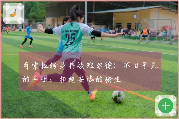 奇索拉转身再战维尔德：不甘平凡的斗士，拒绝安逸的猪生