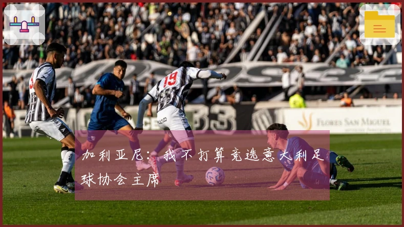 加利亚尼：我不打算竞选意大利足球协会主席